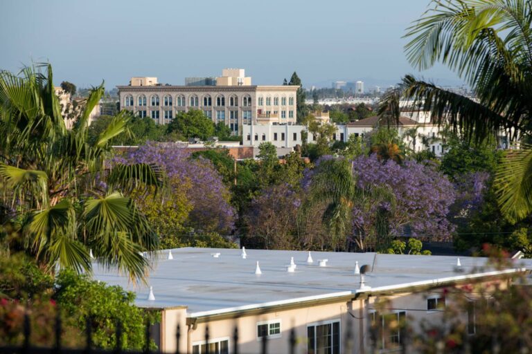 aerial view of treetops and buildings in fullerton california